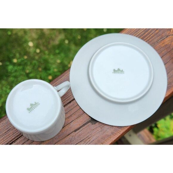 RARE Rosenthal Porcelain Panair Wing Logo Brazil Airline Demitasse Cup & Saucer - Picture 6 of 8